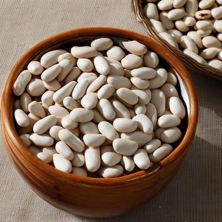 ISO Certified Iranian Wholesale Navy Beans Supply for UN Humanitarian Aid Initiatives; Emergency Logistics & Bulk Pricing